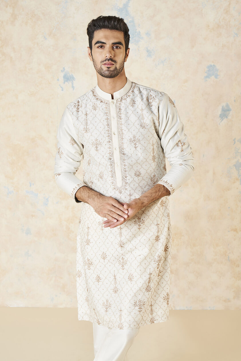 Ainan Embroidered Aari Silk Kurta - Ivory, Ivory, image 5