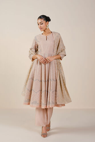 Ryka Embroidered Organza Suit Set - Beige, Beige, image 1