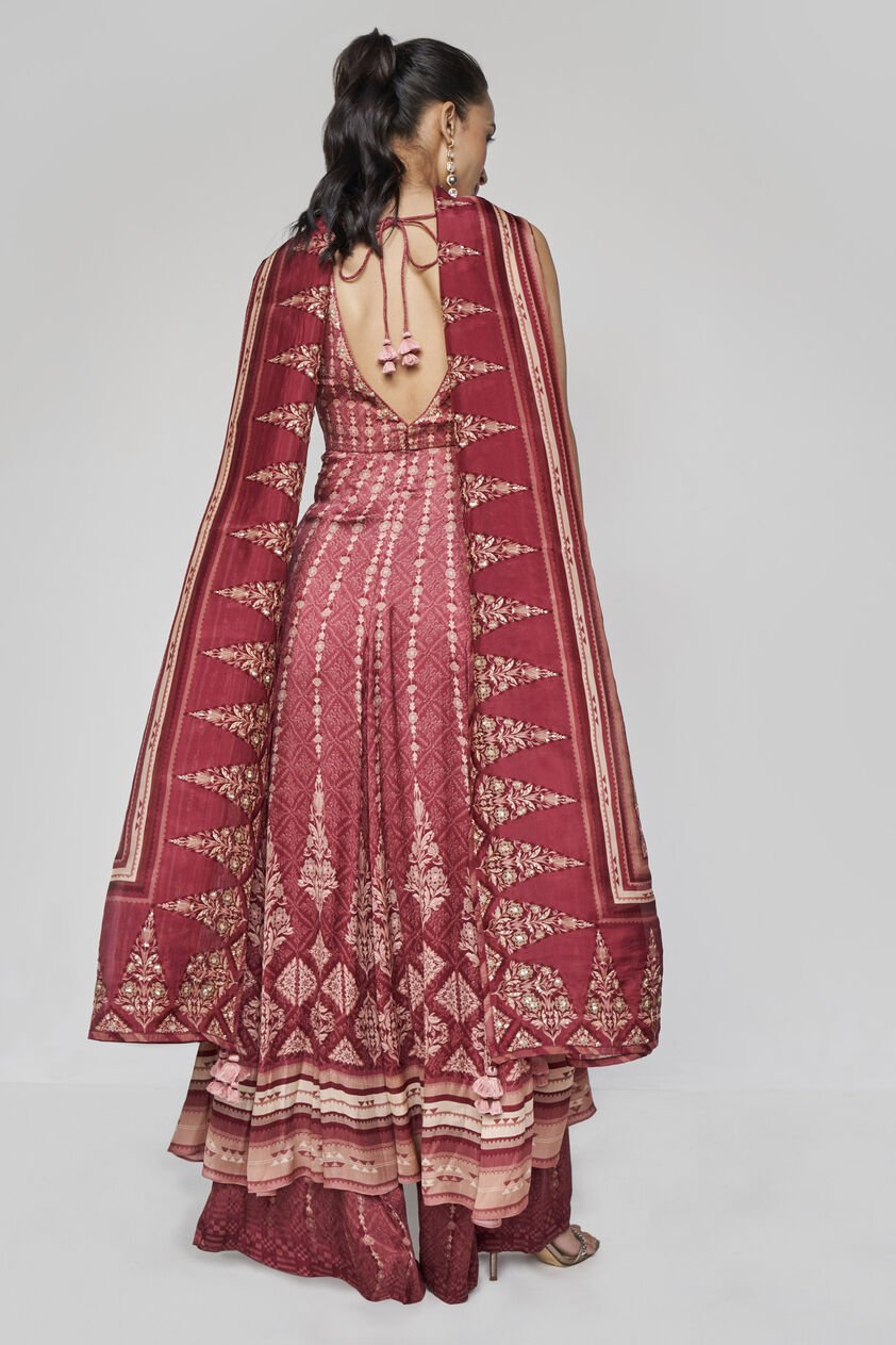 Demilune Anarkali Set - Wine, Ruby, image 3