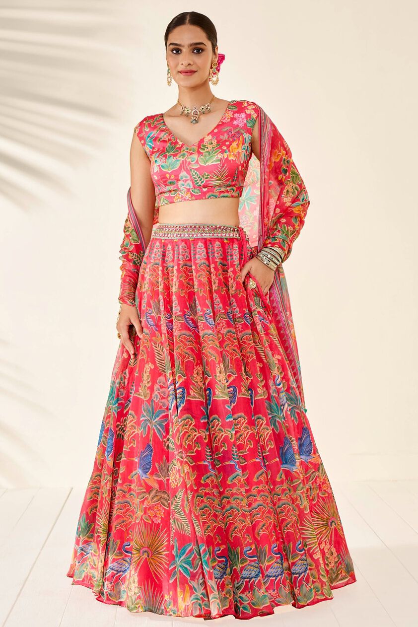 1 - Swan Song Lehenga Set - Pink, image 1