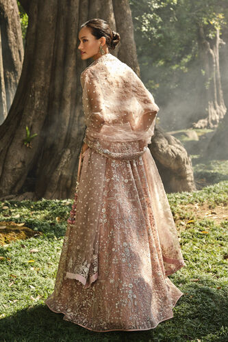 Forest Rose Embroidered Silk Lehenga Set - Blush, Blush, image 2