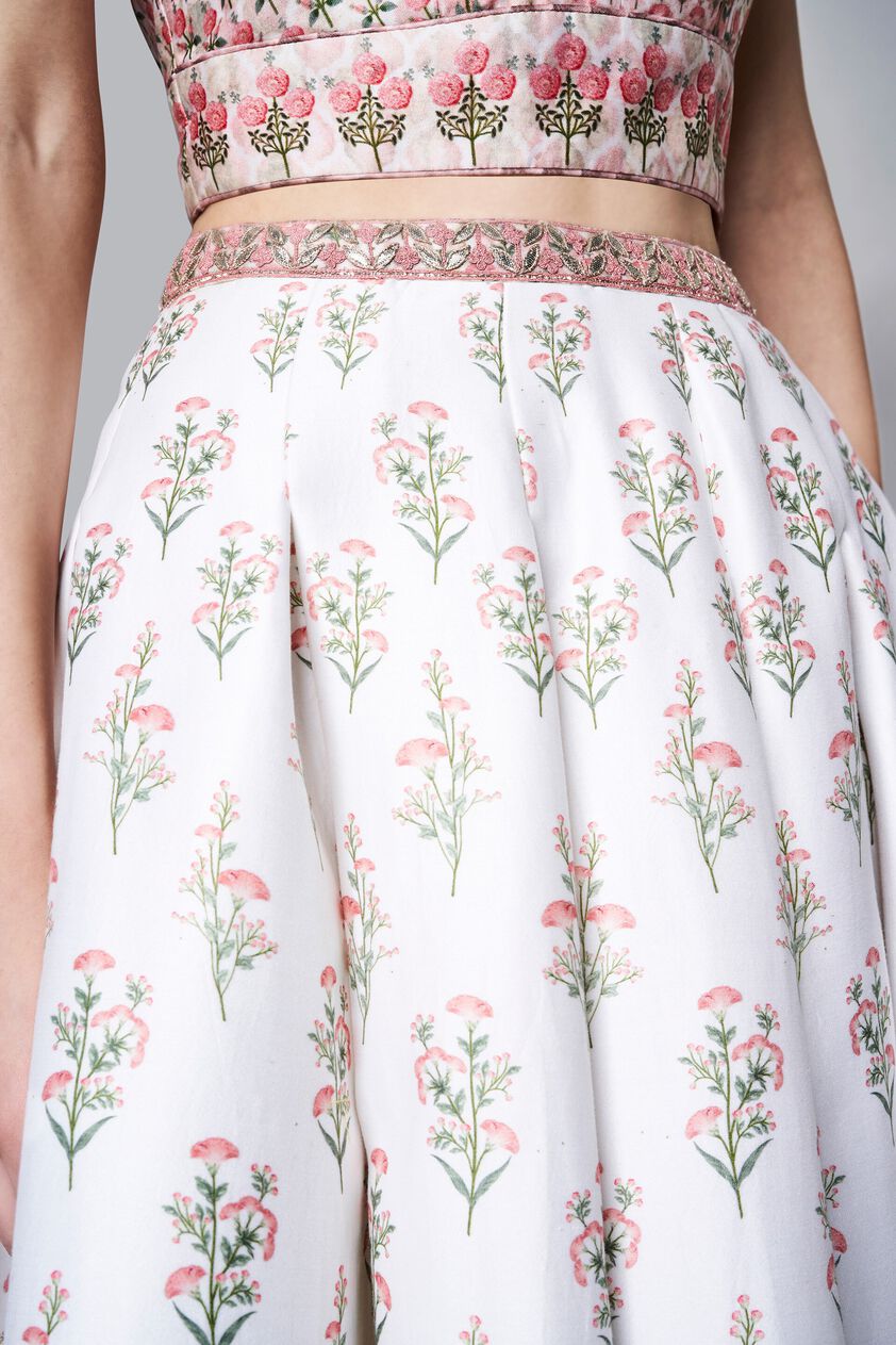 5 - Devanshi Crop Top and Skirt, image 5