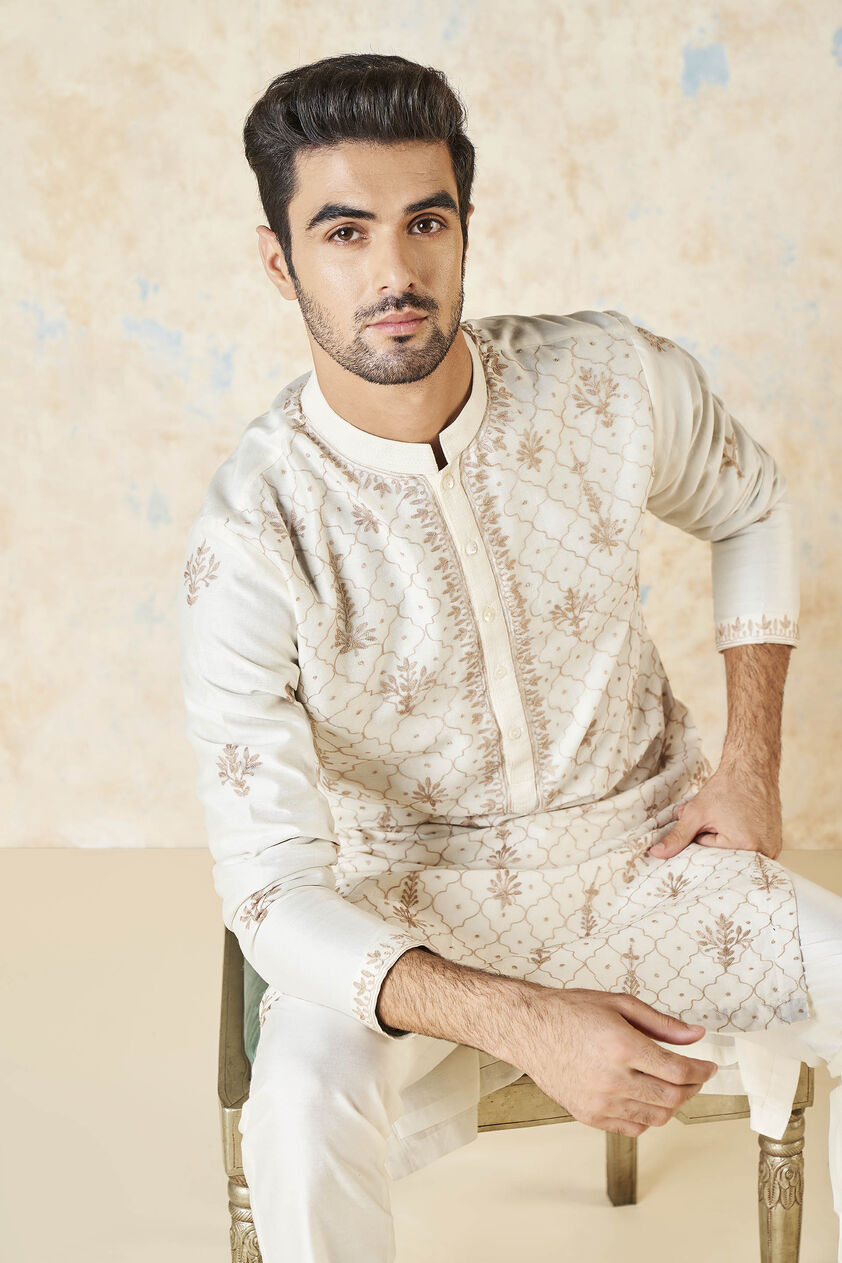 Ainan Embroidered Aari Silk Kurta - Ivory, Ivory, image 4