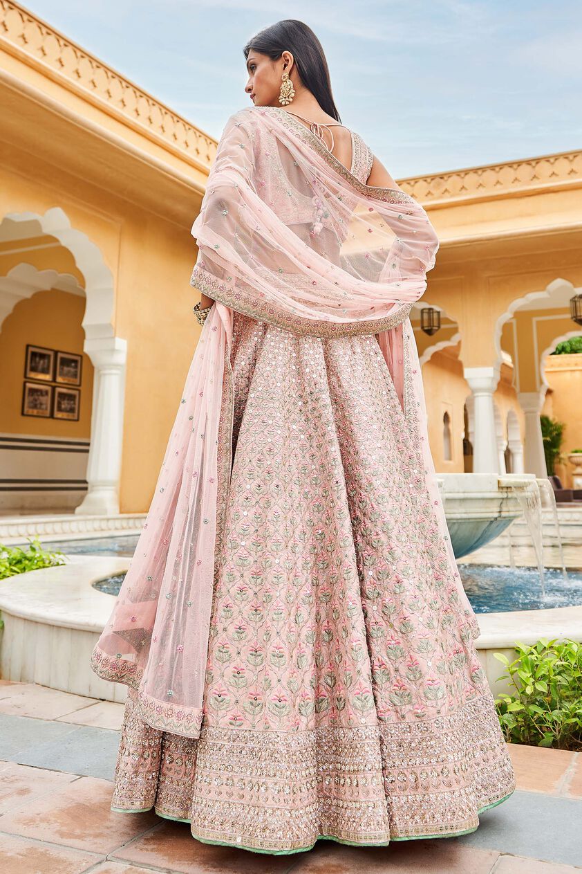 Pranja Lehenga Set-Blush, Blush, image 3