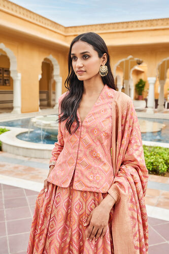 Shukra Lehenga Set-Blush, Blush, image 4