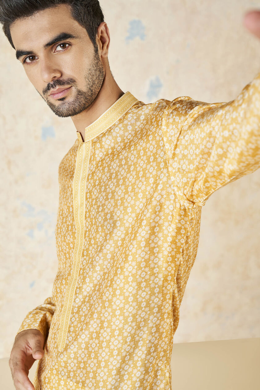 Iravan Silk Kurta - Mustard, Mustard, image 6