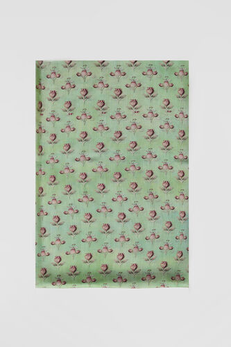 Shyla Saree, Sage, image 7