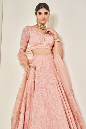 5 - Wild Herons Lehenga Set - Blush, image 5