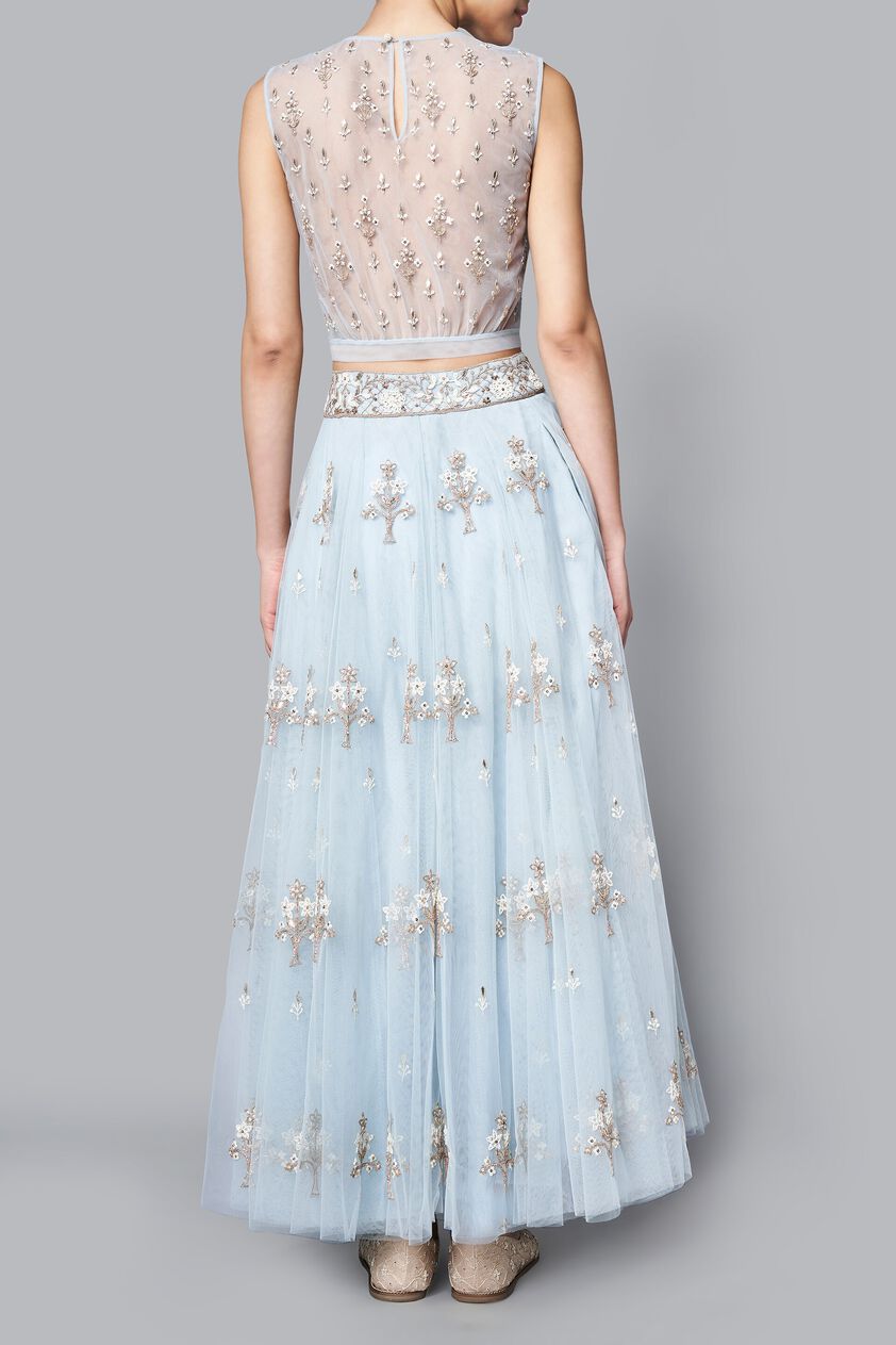 4 - Parnika Crop Top and Skirt, image 4