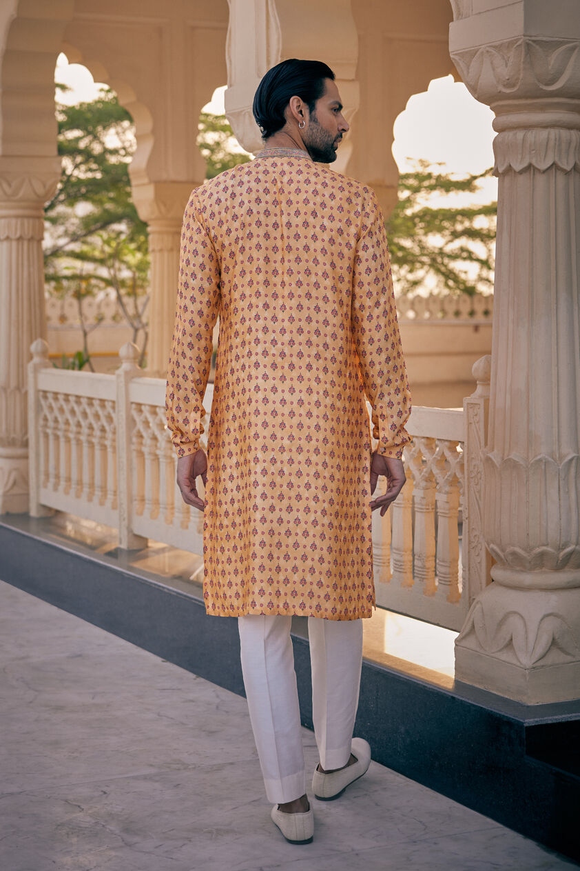 Ashmayu Silk Kurta - Mustard, Mustard, image 2