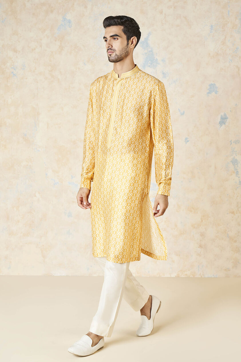 Iravan Silk Kurta - Mustard, Mustard, image 2