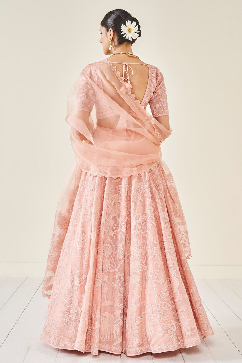 3 - Wild Herons Lehenga Set - Blush, image 3