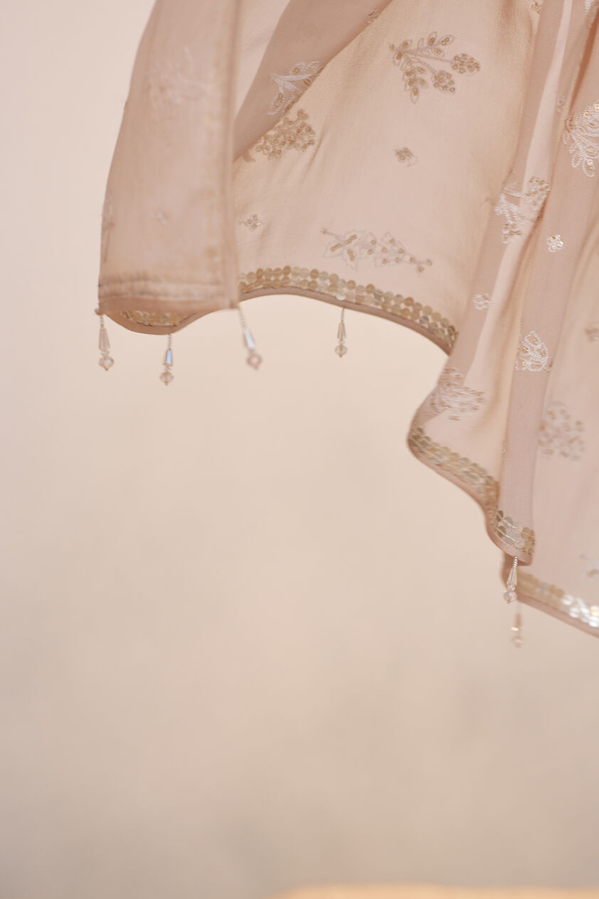 Iqra Saree - Flesh, Flesh, image 8