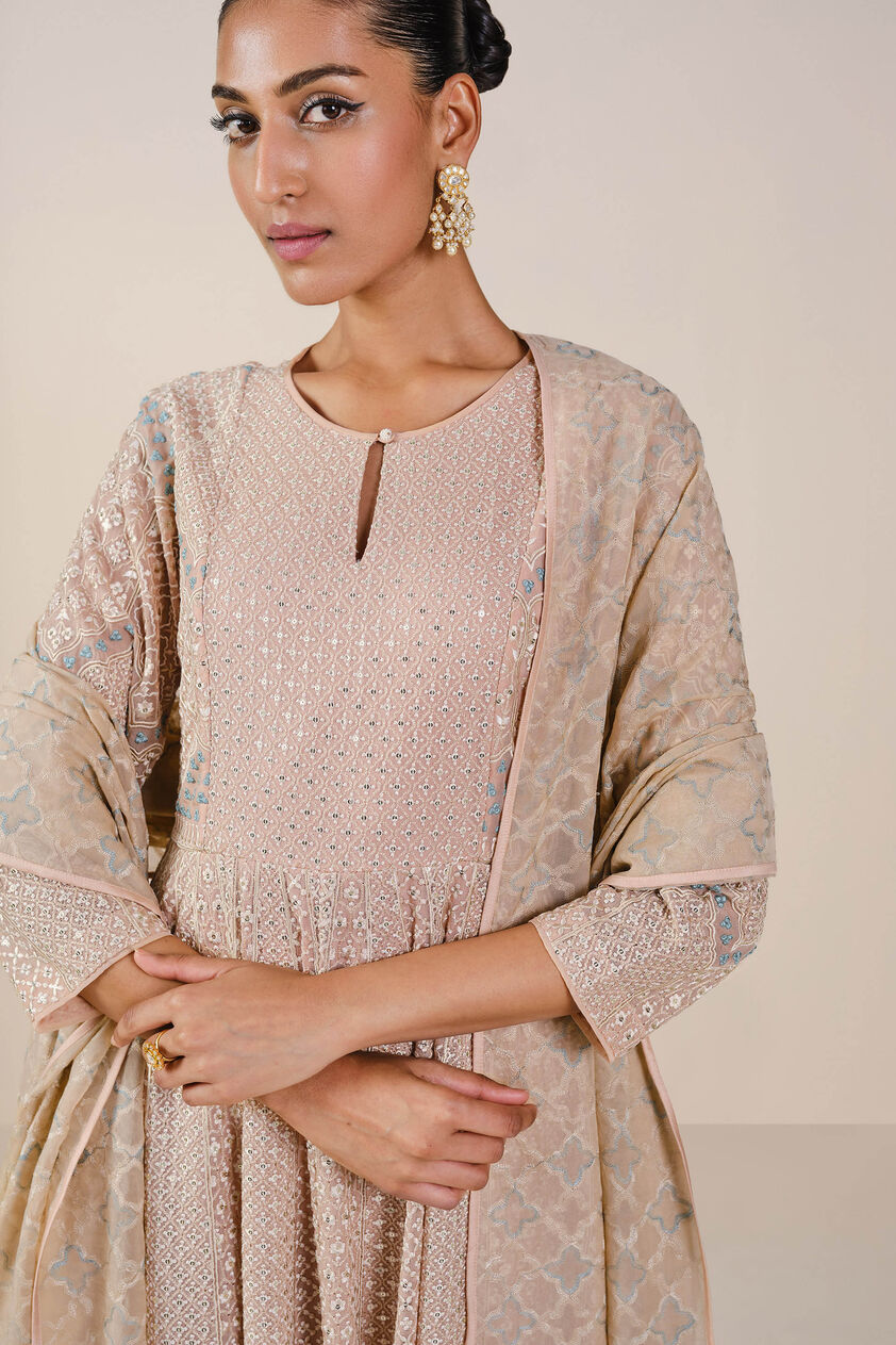 Ryka Embroidered Organza Suit Set - Beige, Beige, image 6
