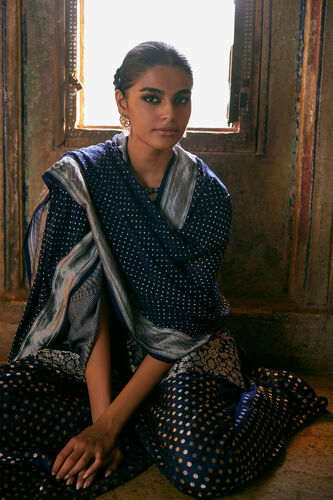 Swadha Handwoven Benarasi Silk Sharara Set - Blue, Blue, image 4