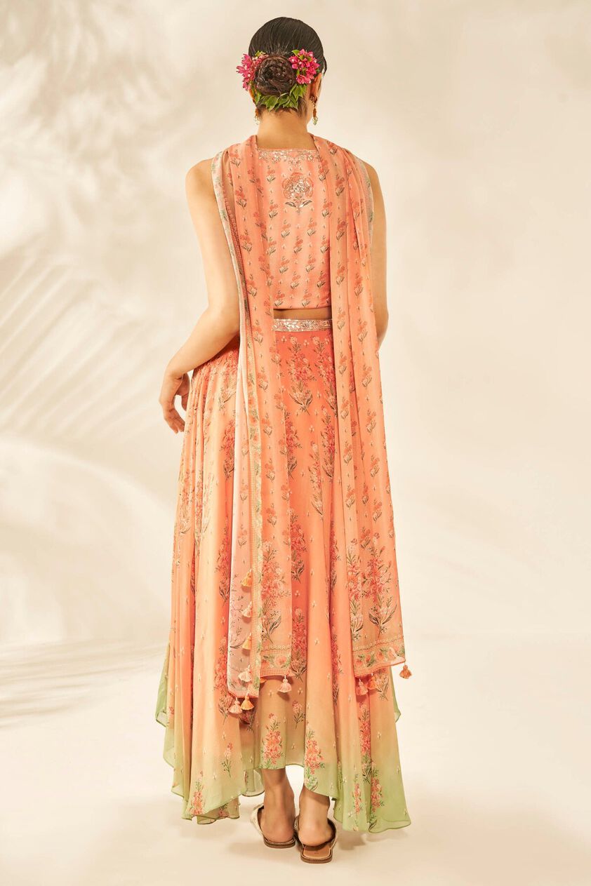 4 - Naima Choli Skirt Set – Peach, image 4
