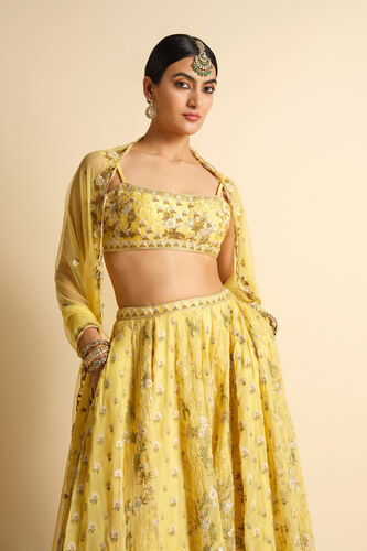 Syona Embroidered Lehenga Set - Yellow, Yellow, image 4