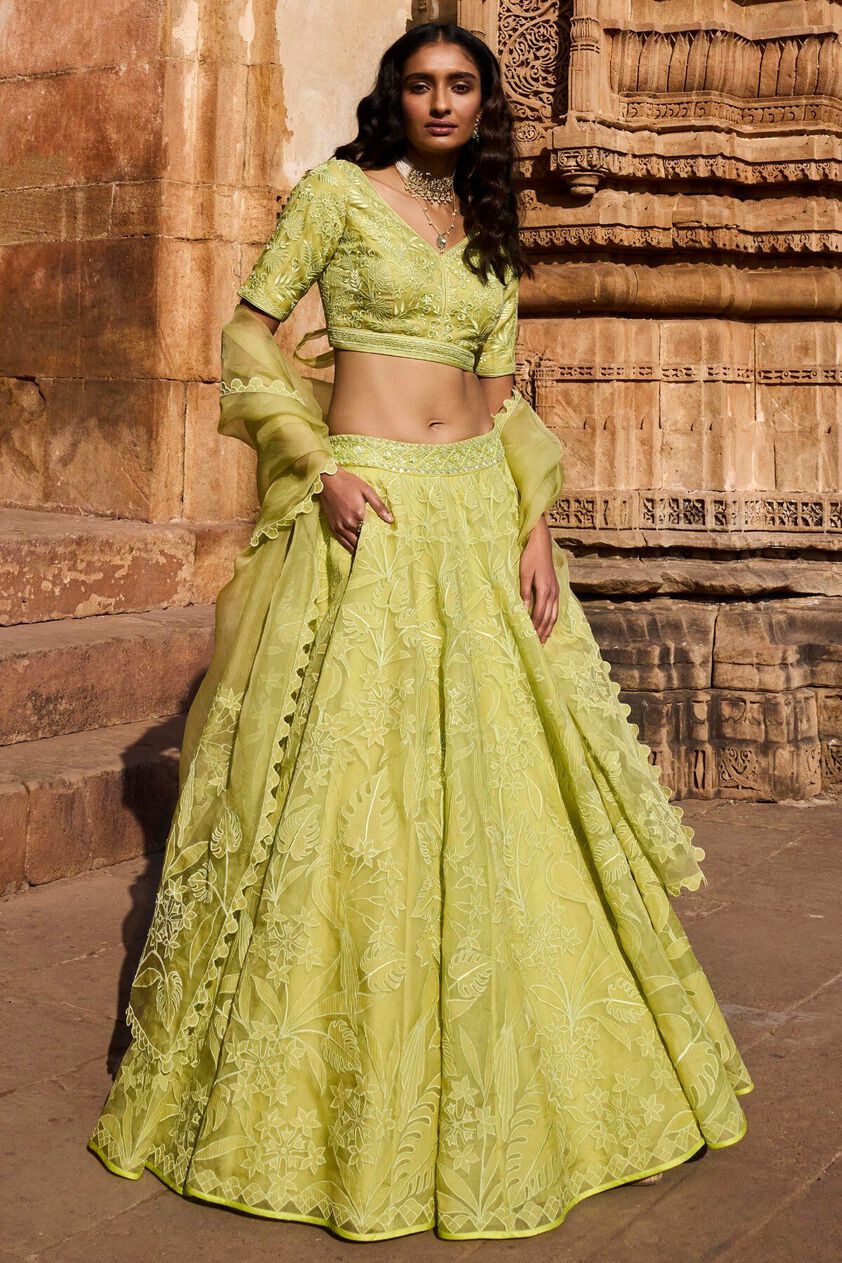 1 - Wild Herons Lehenga Set - Lime, image 1