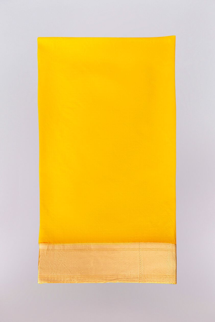 Raika Saree Set - Yellow, Yellow, image 7