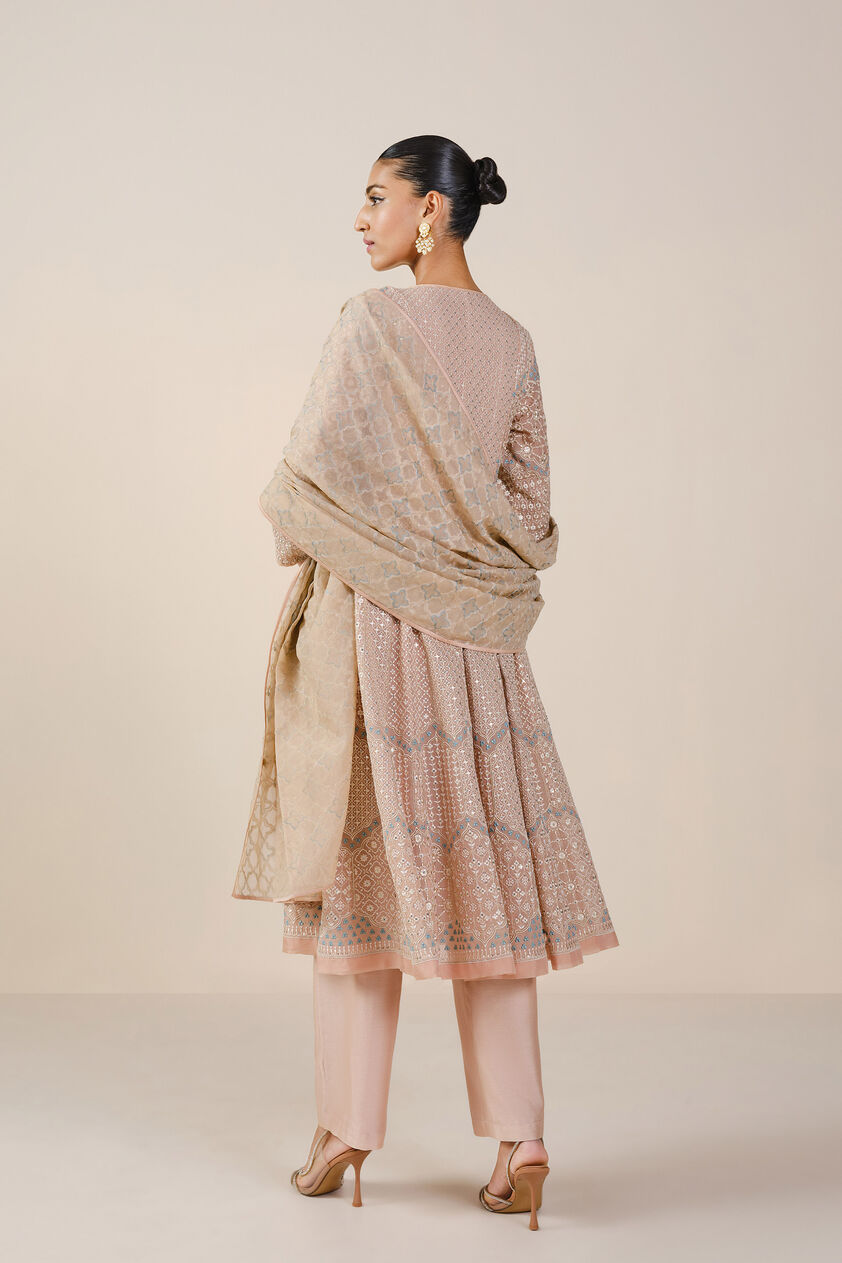 Ryka Embroidered Organza Suit Set - Beige, Beige, image 3