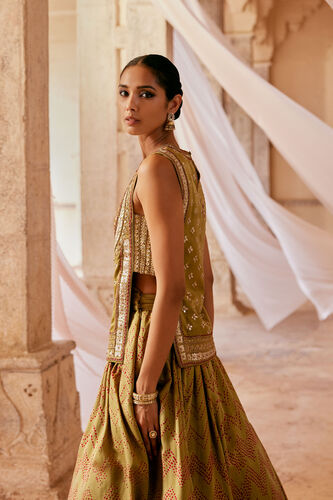 Rann Handcrafted Bandhani Silk Skirt Set - Olive, Olive, image 2