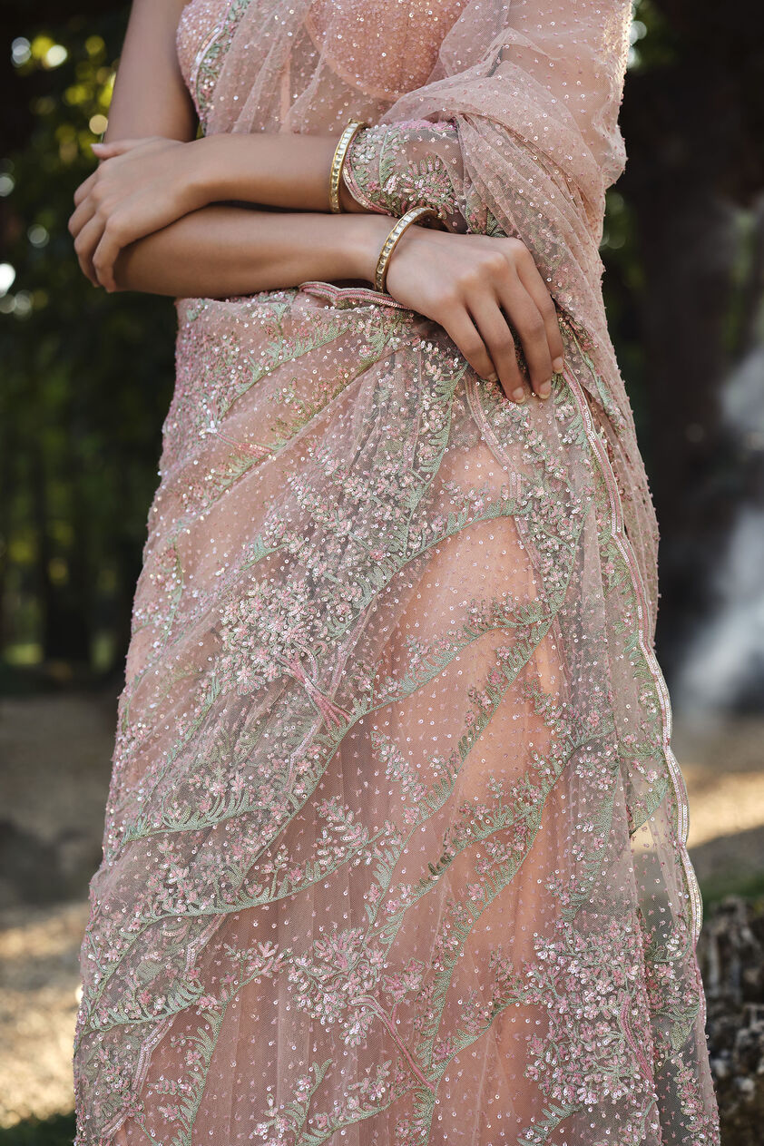 Roseway Embroidered Saree - Blush, Multi Color, image 8