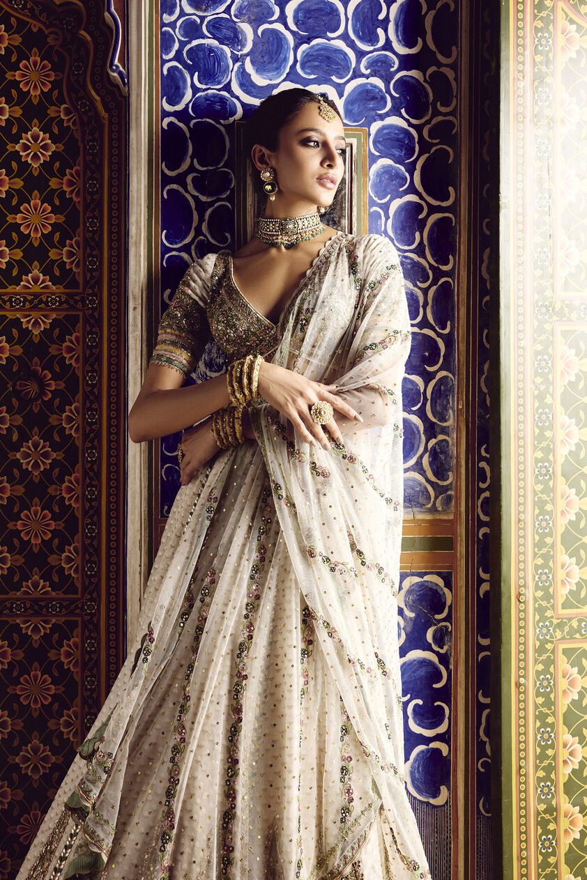 Sarojam Handwoven Benarasi Lehenga Set - Ivory, Ivory, image 4