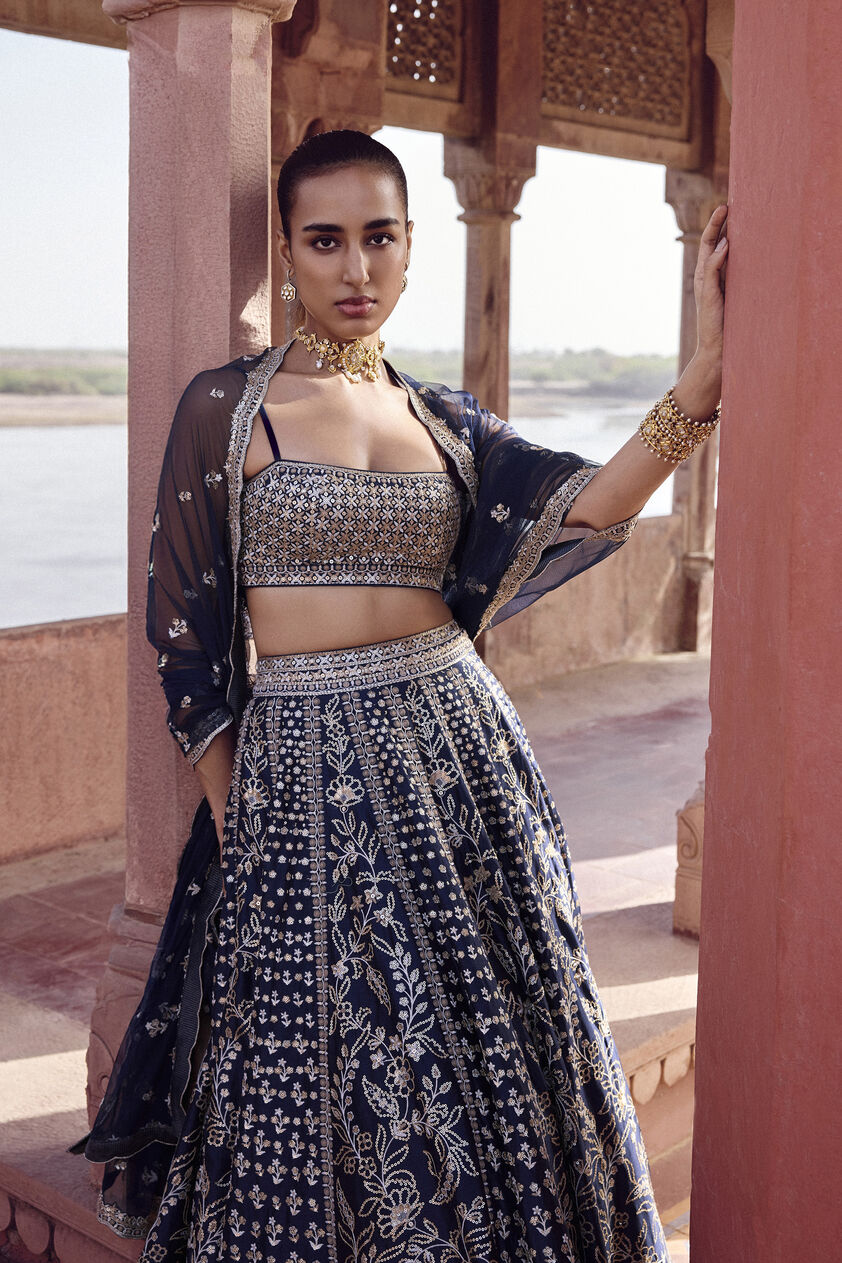 Triyama Embroidered Silk Lehenga Set - Blue, Blue, image 5