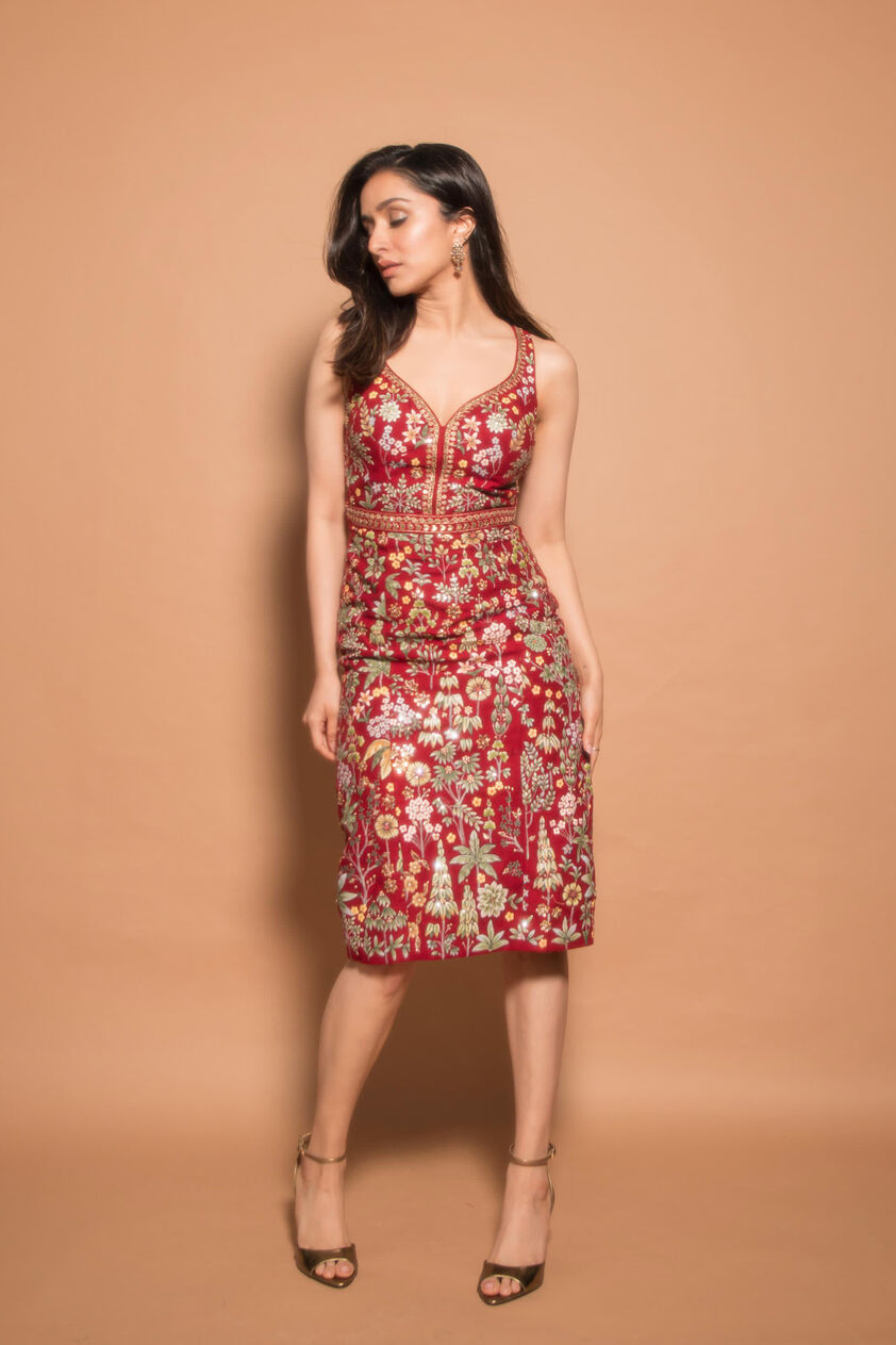Ballad Of The Wild Hand-painted Pichhwai Silk Dress - Red, Red, image 1