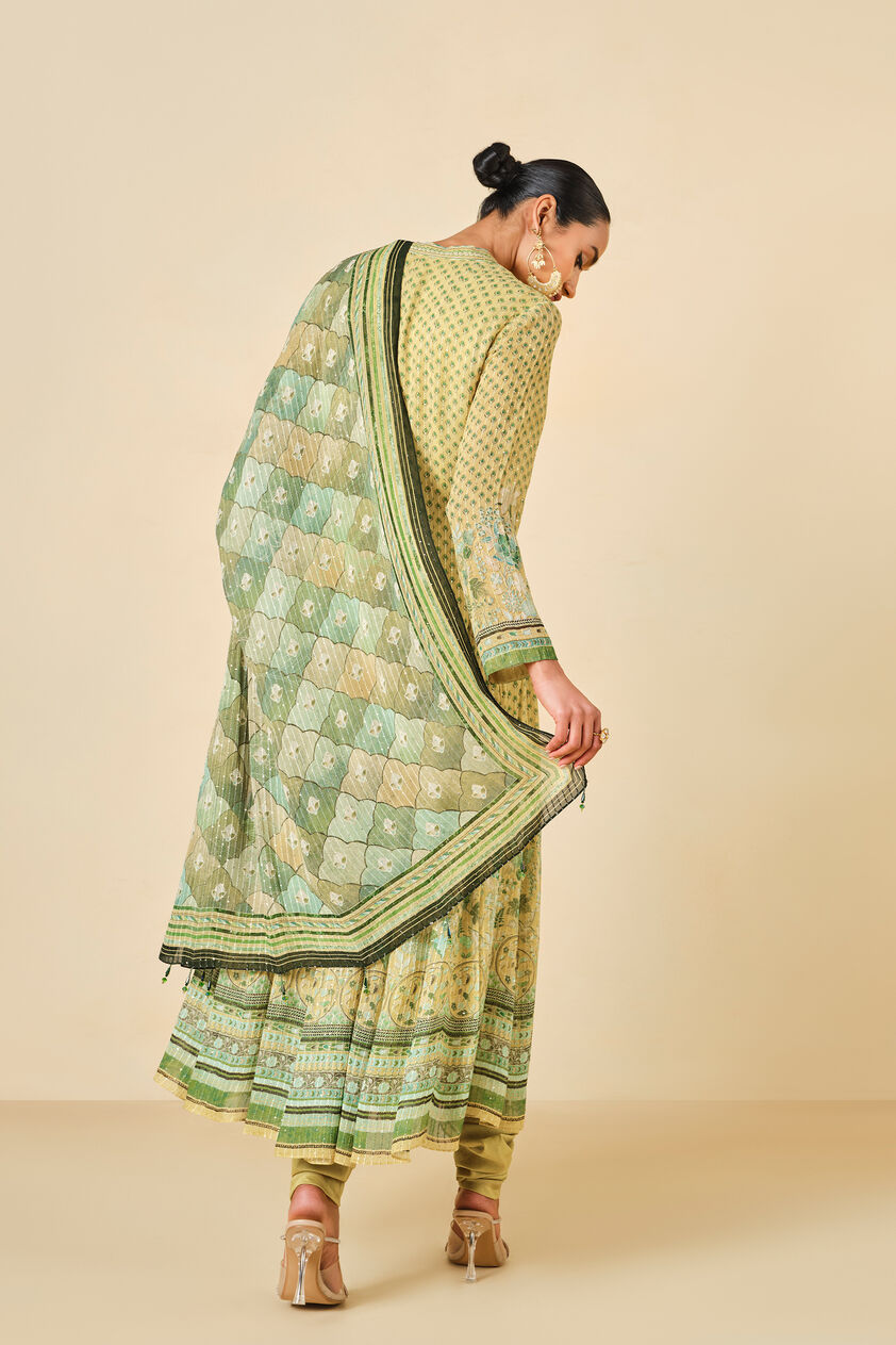 Myuna Printed Anarkali Set - Lime, Lime, image 5