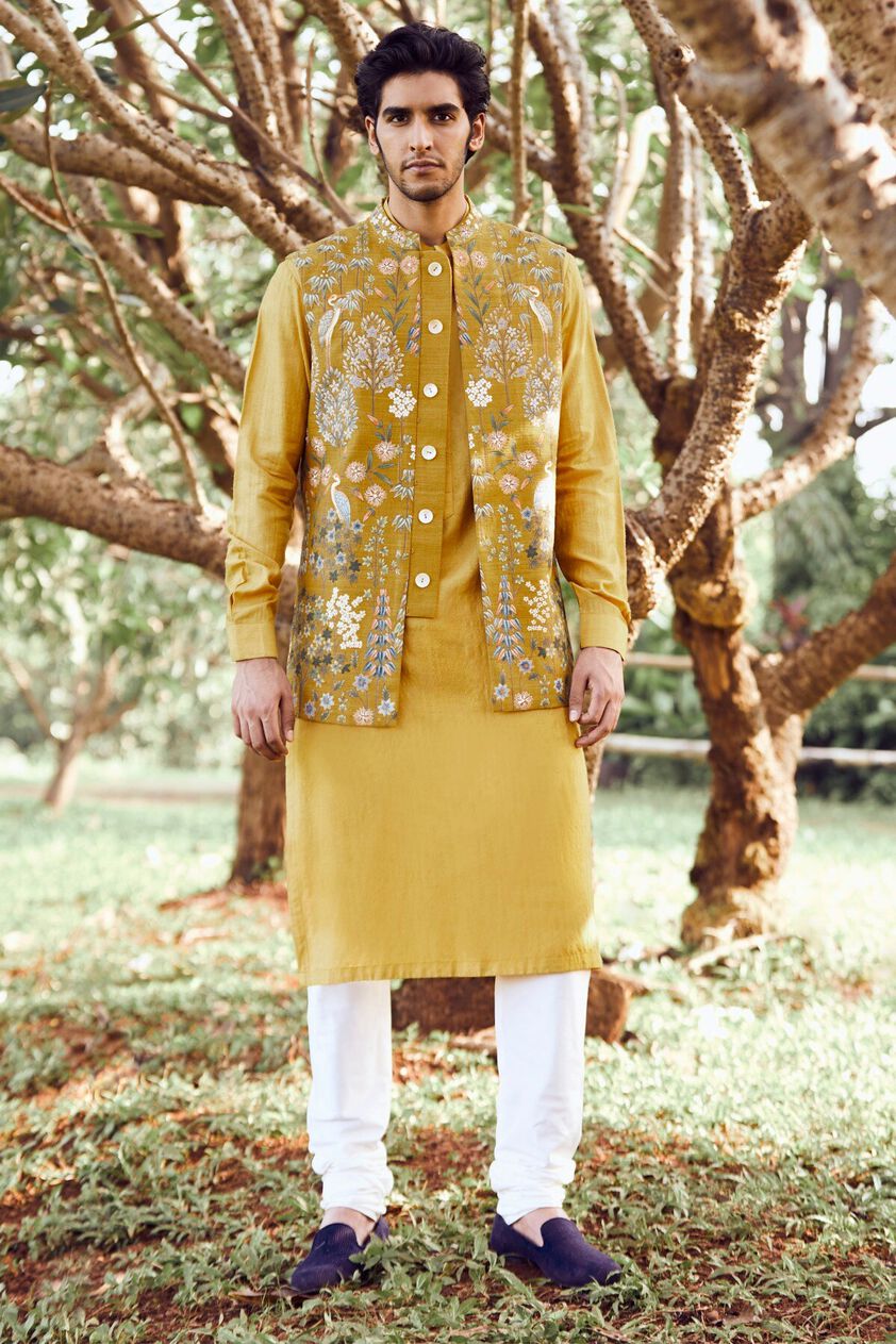1 - Jaiden Pichhwai Bandi, image 1