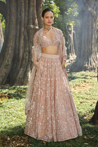 Forest Rose Embroidered Silk Lehenga Set - Blush, Blush, image 1