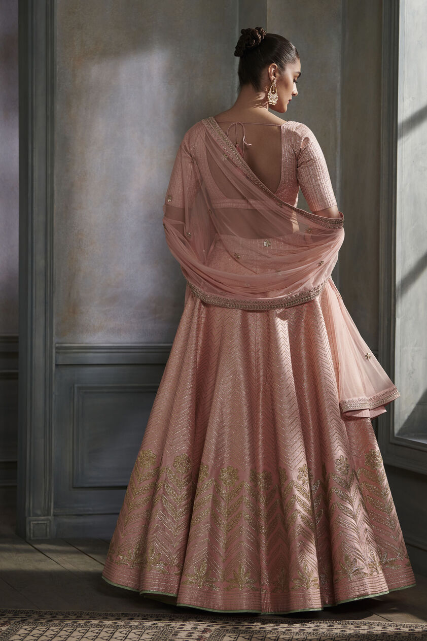 Lasaki Lehenga Set - Blush, Blush, image 2