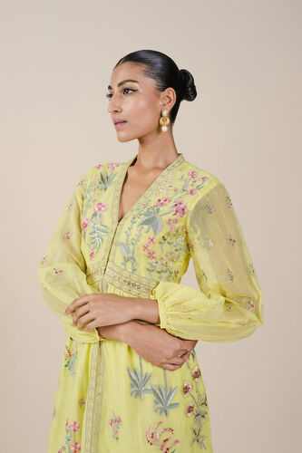 Rhapsody Embroidered Mul Dress - Yellow, Yellow, image 4