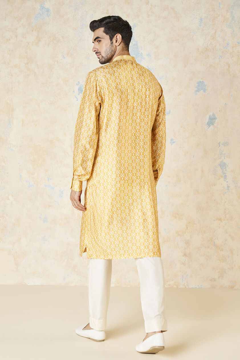 Iravan Silk Kurta - Mustard, Mustard, image 3