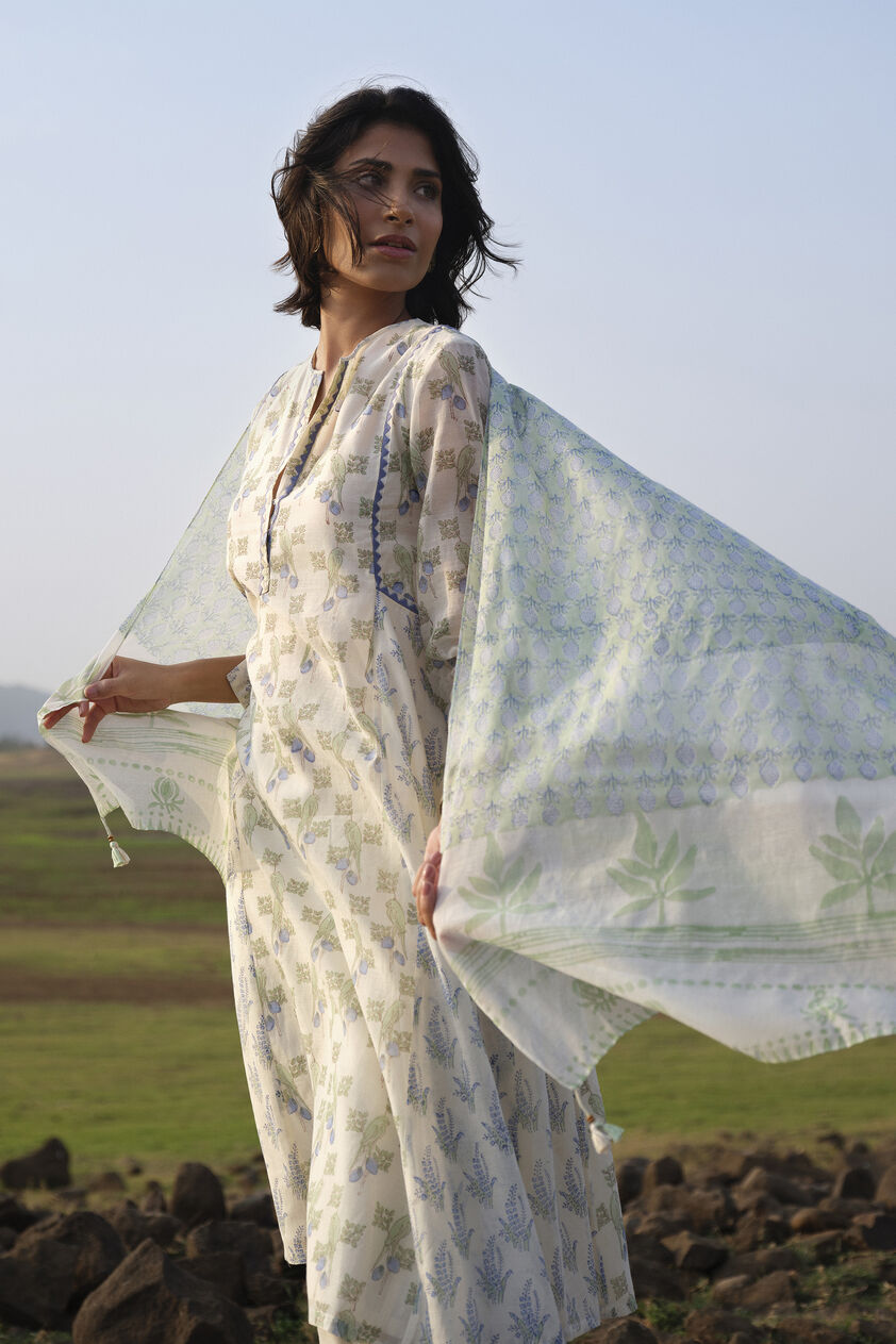 Damara Hand-block Printed Mul Stole - Sage, Sage, image 1