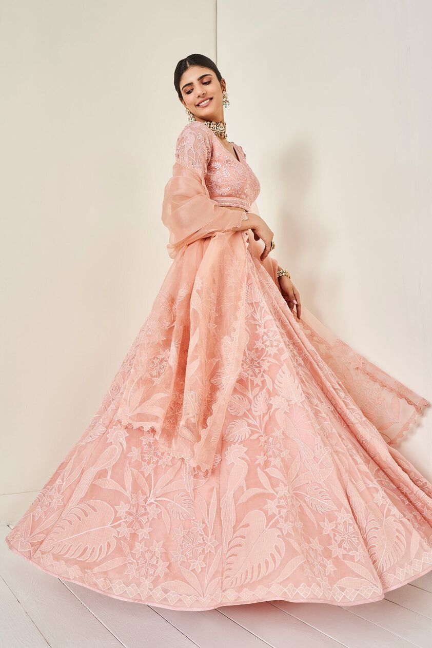 4 - Wild Herons Lehenga Set - Blush, image 4