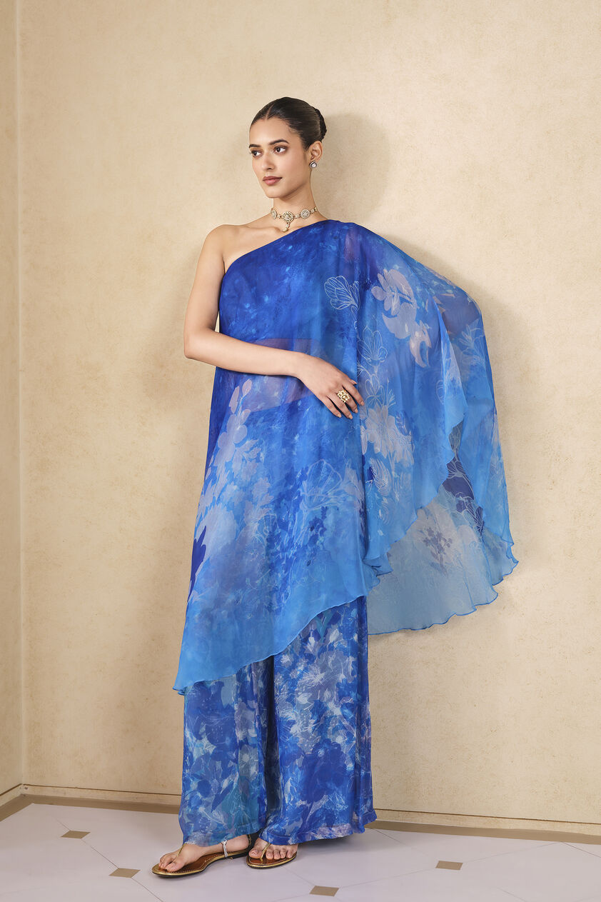 Fluisance Chiffon Palazzo Set - Blue, Blue, image 4