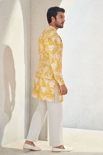 Malhar Nehru Jacket - Mustard, Mustard, image 3