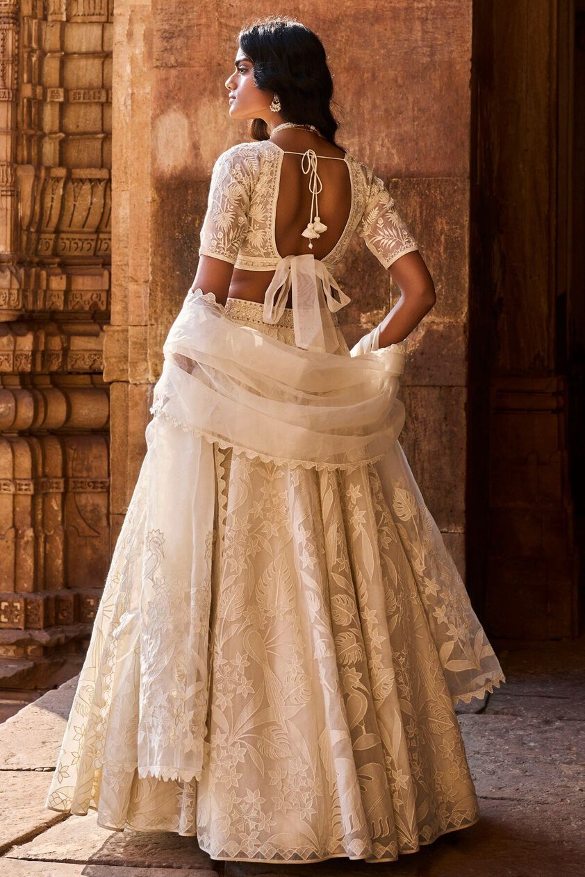 2 - Wild Herons Lehenga Set - Natural, image 2