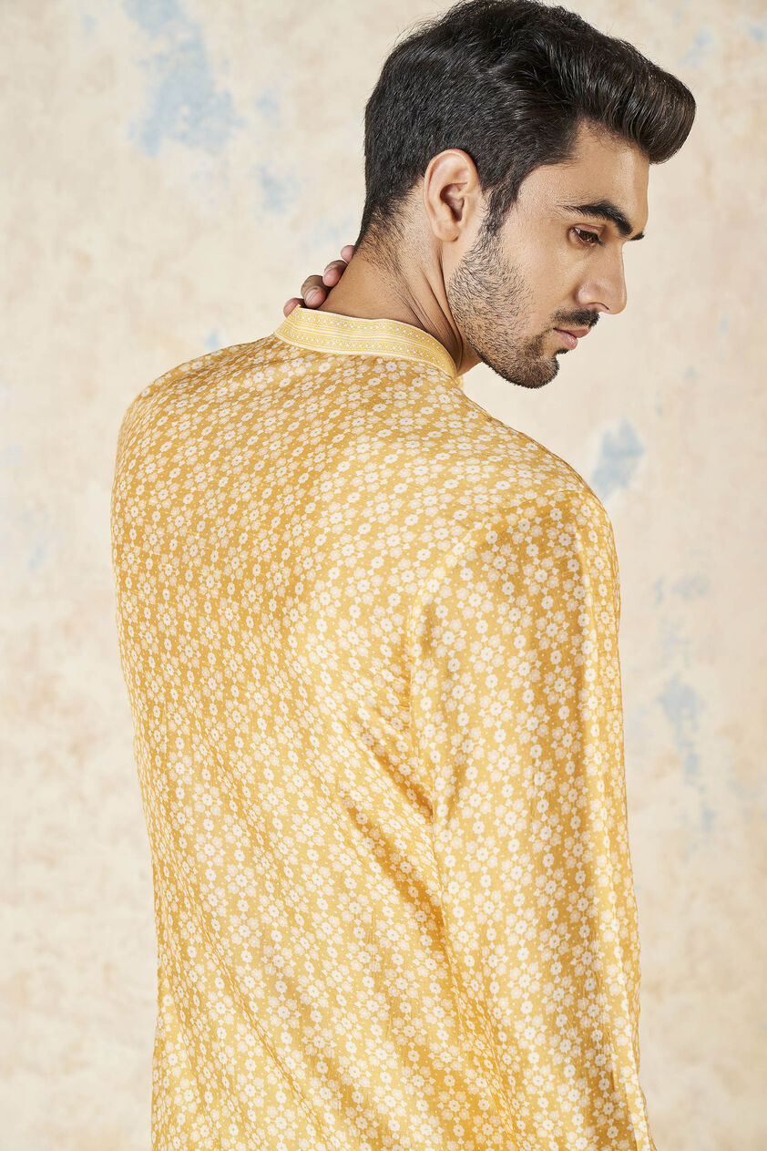 Iravan Silk Kurta - Mustard, Mustard, image 5