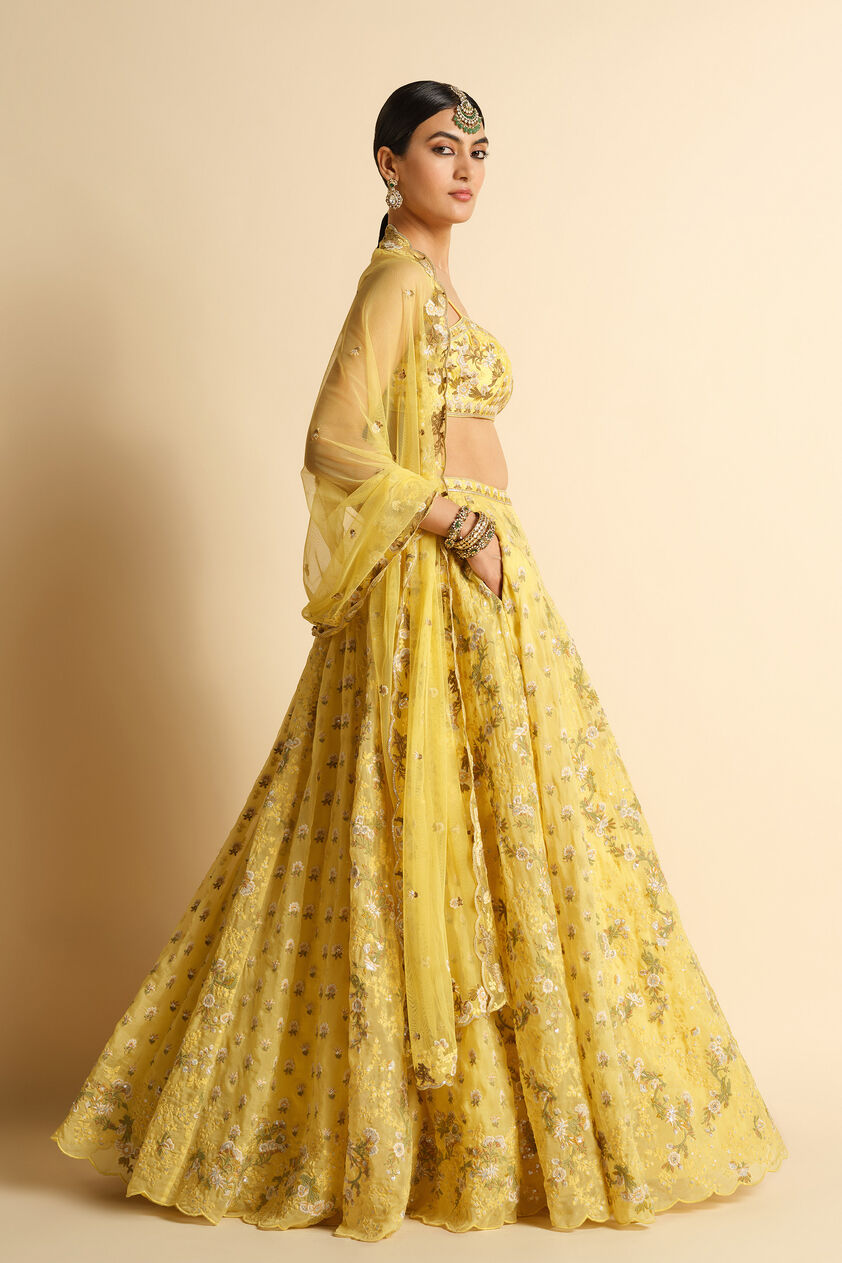Syona Embroidered Lehenga Set - Yellow, Yellow, image 3