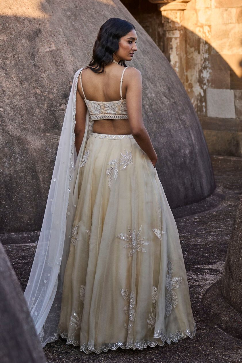 4 - Autumn Leaves Lehenga – Nude, image 4