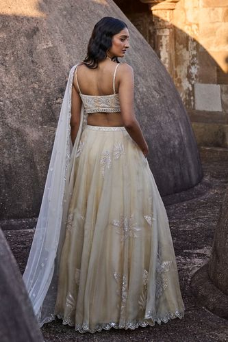 4 - Autumn Leaves Lehenga – Nude, image 4