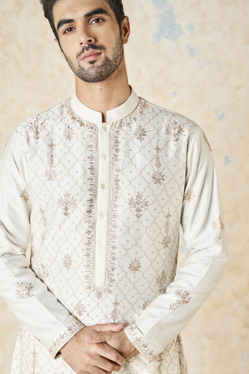 Ainan Embroidered Aari Silk Kurta - Ivory, Ivory, image 7