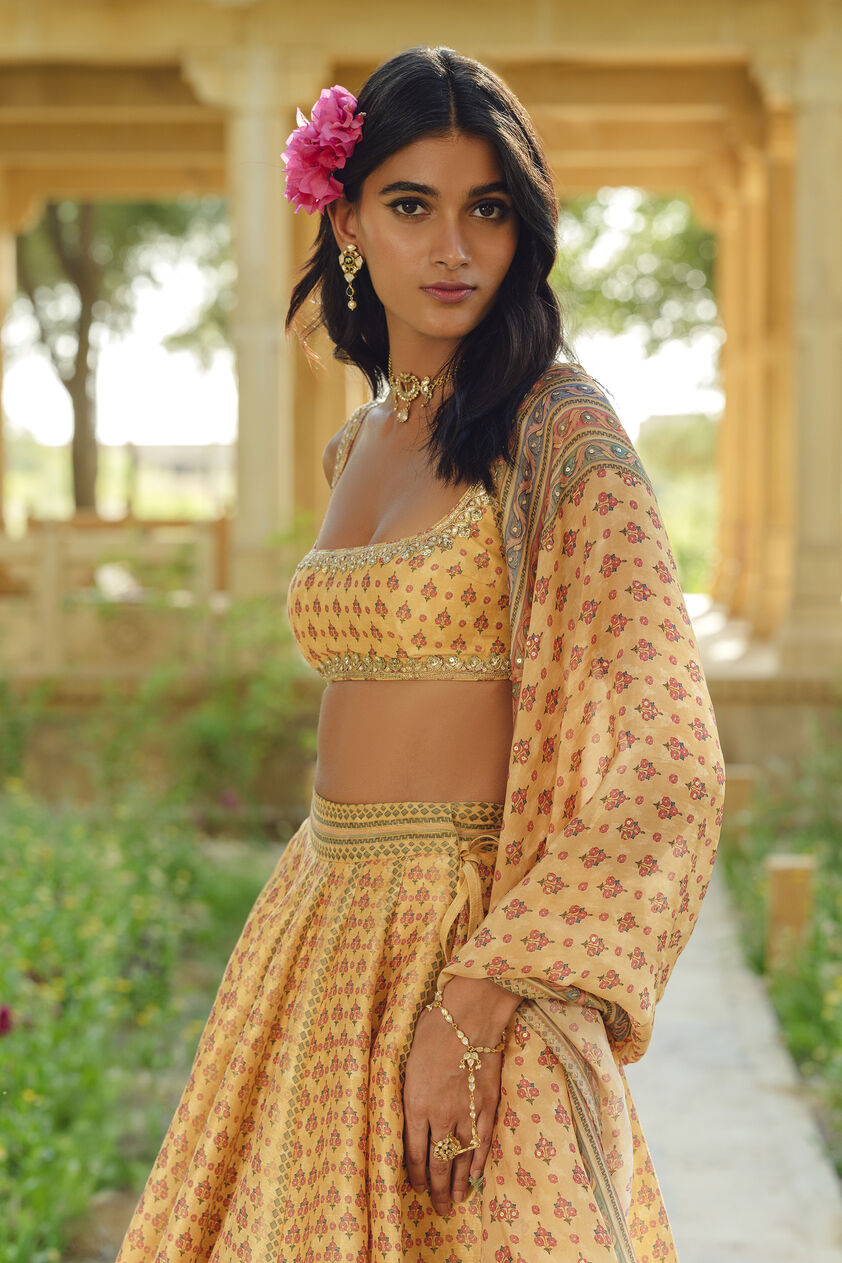 Damaris Lehenga Set - Mustard, Mustard, image 2