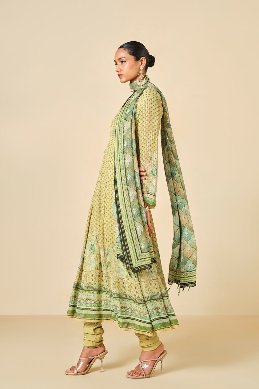 Myuna Printed Anarkali Set - Lime, Lime, image 3