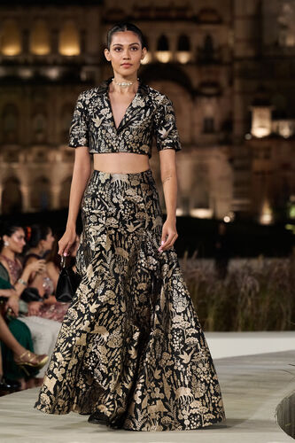 Masara Handwoven Benarasi Silk Skirt Set - Gold, Gold, image 1