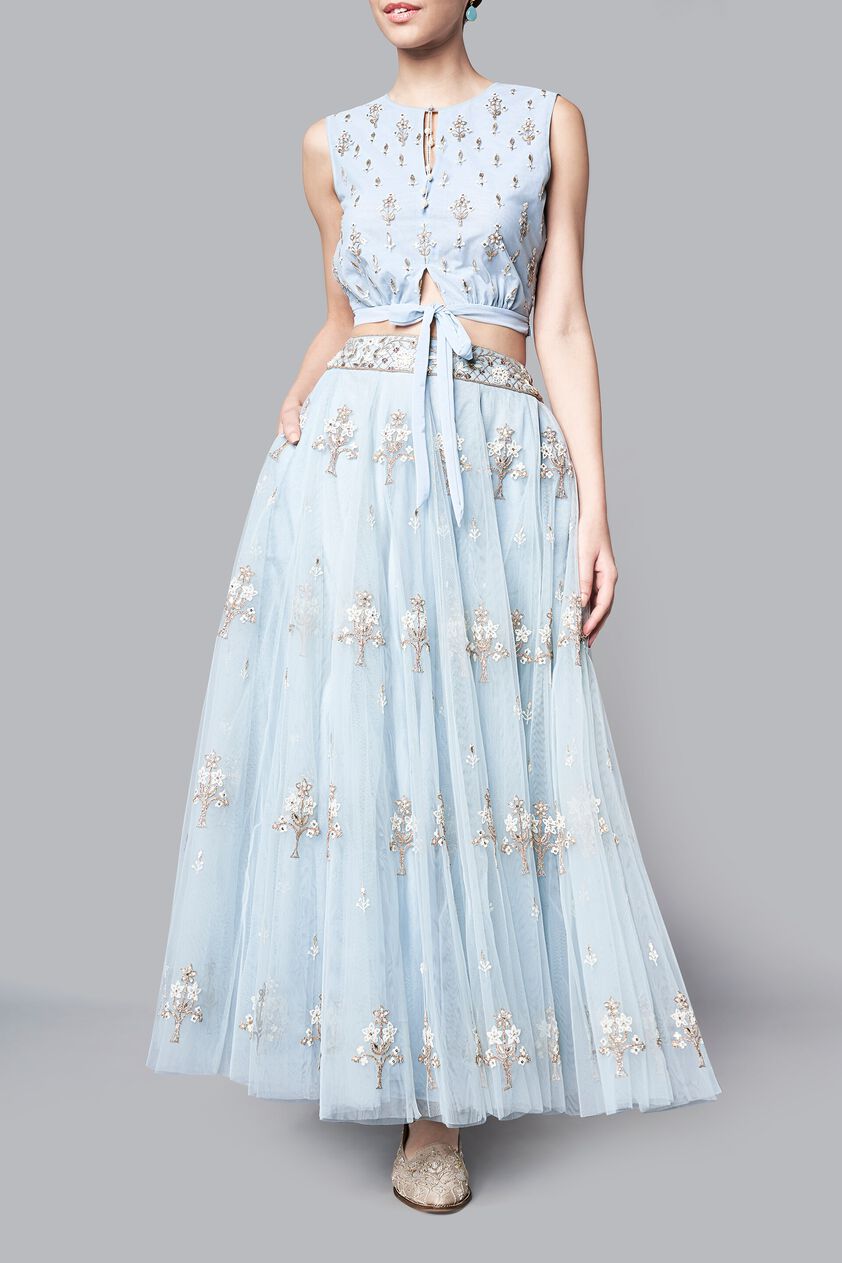 2 - Parnika Crop Top and Skirt, image 2