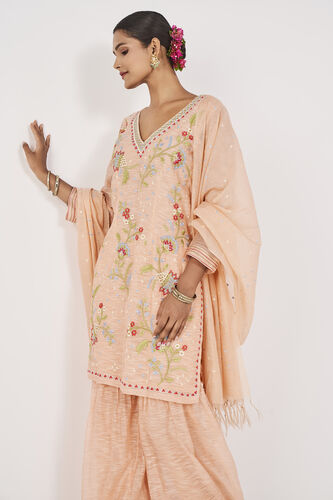 Nirup Gharara Set-Blush, Blush, image 4